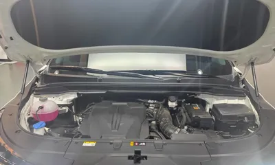 Kia Canival 2025, 13434 км, за 36000000 KRW - фото 6