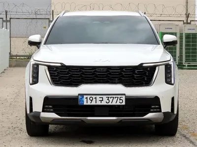 Kia Sorento 2024, 42520 км, за 34500000 KRW