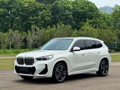BMW X1 · 2024 год