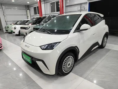 BYD Seagull · 2024 год