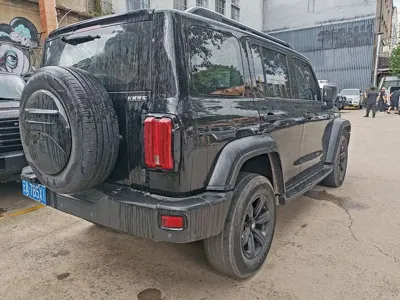 Tank Tank 300 2023, 69000 км, за 136800 CNY