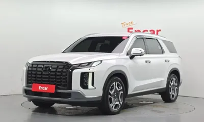 Hyundai Palisade · 2024 год