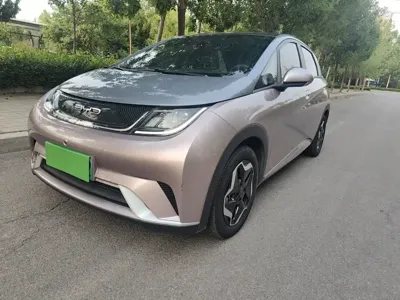 BYD Dolphin · 2023 год