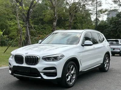 BMW X3 · 2019 год