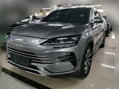 BYD PLUS New Energy · 2024 год
