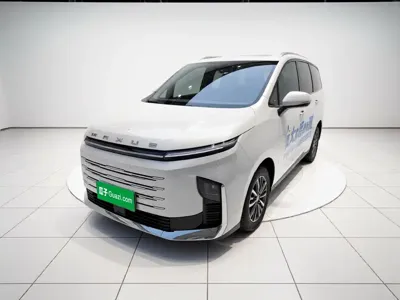 大通 大通G50插电混动 · 2025 год