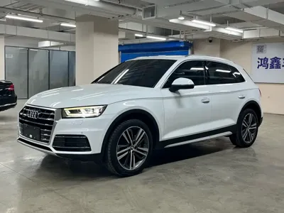 Audi Q5L · 2019 год