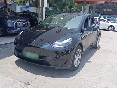 Tesla Model Y · 2022 год