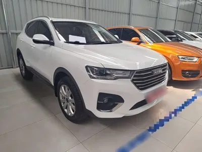 Haval H4 2019, 81900 км, за 39900 CNY - фото 4