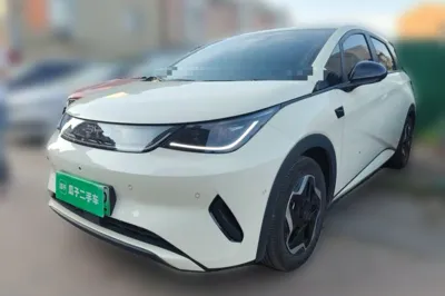 BYD Dolphin · 2025 год