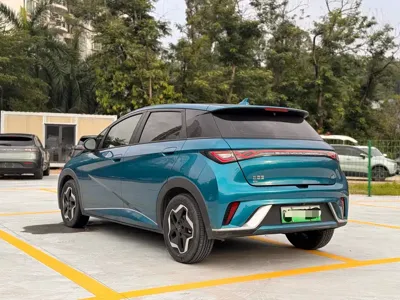 BYD Dolphin 2022, 58000 км, за 49800 CNY - фото 22