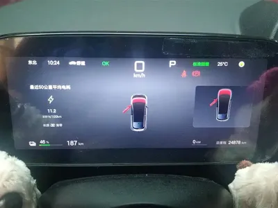 BYD Dolphin 2025, 24900 км, за 78000 CNY - фото 14