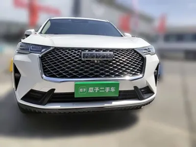 Haval H6 2022, 113300 км, за 49900 CNY - фото 24