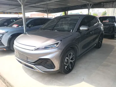 BYD Yuan Plus · 2024 год