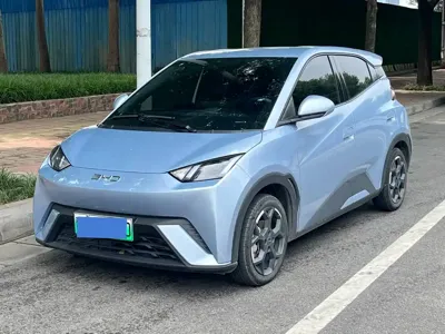BYD Seagull · 2024 год