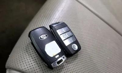 Kia Canival 2019, 173017 км, за 9900000 KRW - фото 28
