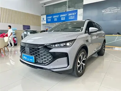 BYD Tang New Energy · 2025 год