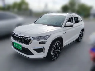 Skoda Kodiaq · 2022 год