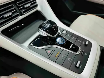 BYD Pro New Energy 2024, 14000 км, за 75800 CNY - фото 16
