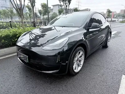 Tesla Model Y · 2023 год