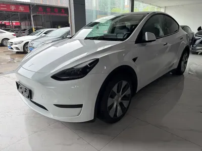 Tesla Model Y · 2023 год