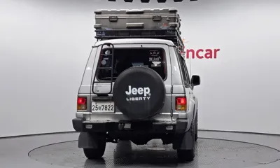 Hyundai Galloper 1995, 204746 км, за 5200000 KRW