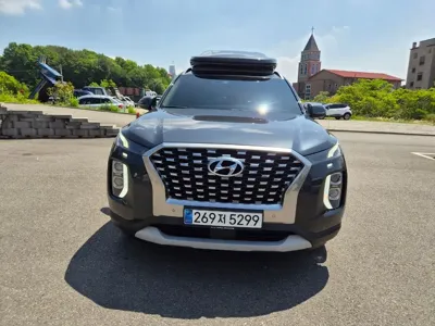 Hyundai Palisade · 2019 год