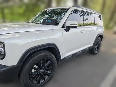 Haval Menglong New Energy 2024, 44800 км, за 113200 CNY
