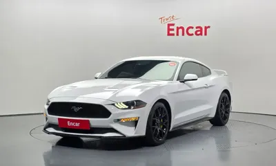 Ford Mustang · 2019 год