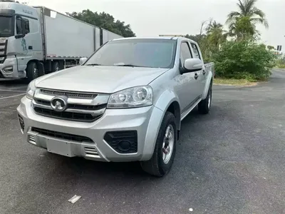 Great Wall Fengjun 5 · 2023 год