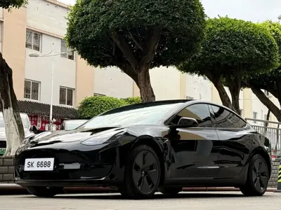 Tesla Model 3 · 2022 год
