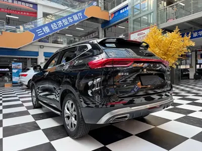 Haval H6 2022, 51000 км, за 59800 CNY - фото 15