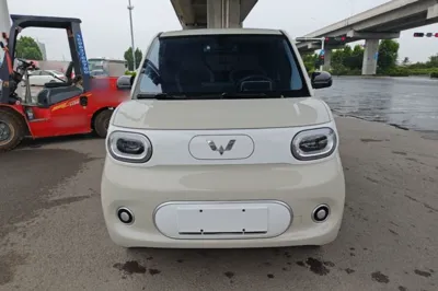 Wuling Hongguang MINIEV 2024, 12100 км, за 42140.61 CNY