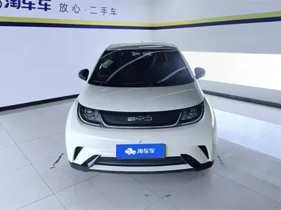 BYD Dolphin 2023, 42100 км, за 64800 CNY - фото 2