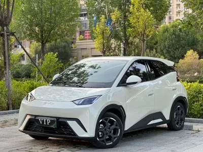 BYD Seagull · 2025 год