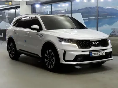 Kia Sorento · 2023 год