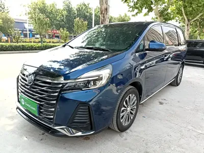 Buick GL8 · 2022 год