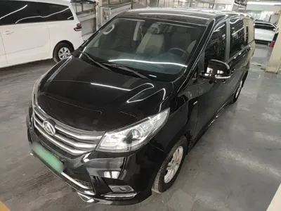 大通 G10 · 2022 год