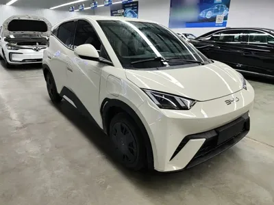 BYD Seagull 2024, 39600 км, за 48400 CNY
