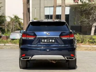 Lexus RX 2020, 108000 км, за 189800 CNY - фото 20
