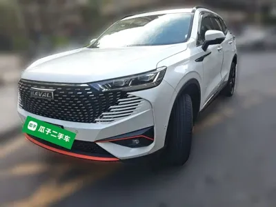 Haval H6 · 2022 год