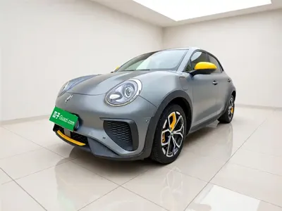ORA Ora Good Cat GT · 2024 год