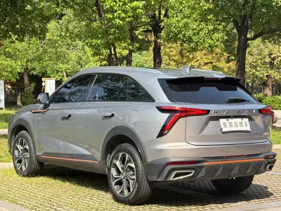 Haval Shenshou 2022, 40000 км, за 55800 CNY - фото 8