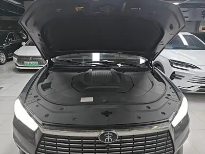 BYD Pro New Energy 2020, 75600 км, за 58300 CNY - фото 20