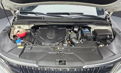 Kia Canival 2022, 59610 км, за 27500000 KRW - фото 6