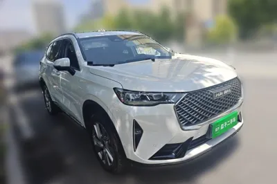 Haval H6 2021, 60900 км, за 52648.72 CNY - фото 7