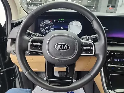 Kia Canival 2021, 54576 км, за 27500000 KRW - фото 9