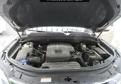 KG_Mobility_Ssangyong Rexton 2019, 12000 км, за 14900000 KRW - фото 7