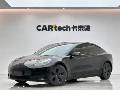 Tesla Model 3 · 2021 год