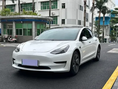 Tesla Model 3 · 2021 год